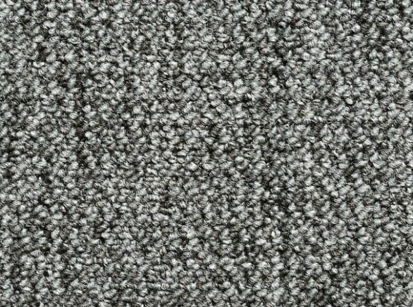 Фото - ковролина dynamic 78 (condor)